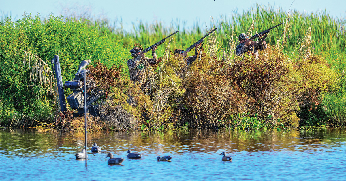 Teal hunter hot sale